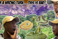 Went to an island full of SNAKES (Travel Vlog GONE WRONG!!!)