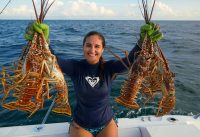 STUNG by POISONOUS MAN O' WAR While Lobstering! CATCH and COOK