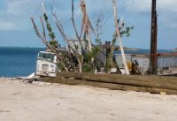 Elbow Cay Debris Truck