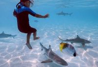 KIDS Swimming with SHARKS in Tahiti!! ARE THEY NICE??