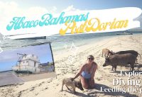 My Vacation to Green Turtle Cay, Abaco, Bahamas Post Dorian 2020… While 8 Months Pregnant!