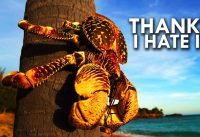 Coconut Crab: Your Worst Nightmare