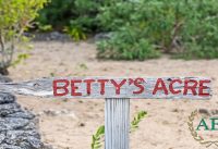 "Betty's Acre" – 2.68 Acre Ocean To Harbour Property,  Man-O-War Cay Abaco, Bahamas