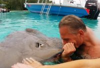 Swimming with the Sharks in Tahiti!