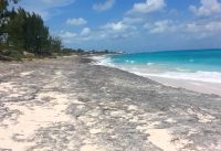 Bouncing on a wooden plank at Man O War Cay