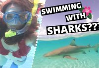 Swimming with Sharks in Moorea // Moorea Tahiti Vlog Day 4