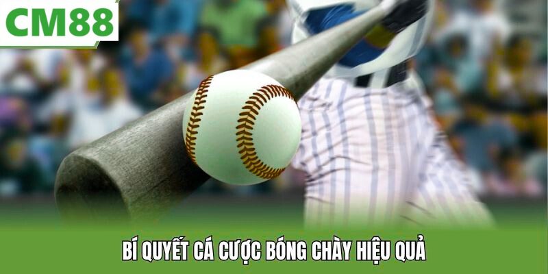 Cách bắt đầu tham gia cá cược bóng chày tại CM88