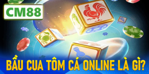 Giới Thiệu Về Trò Chơi Bầu Cua