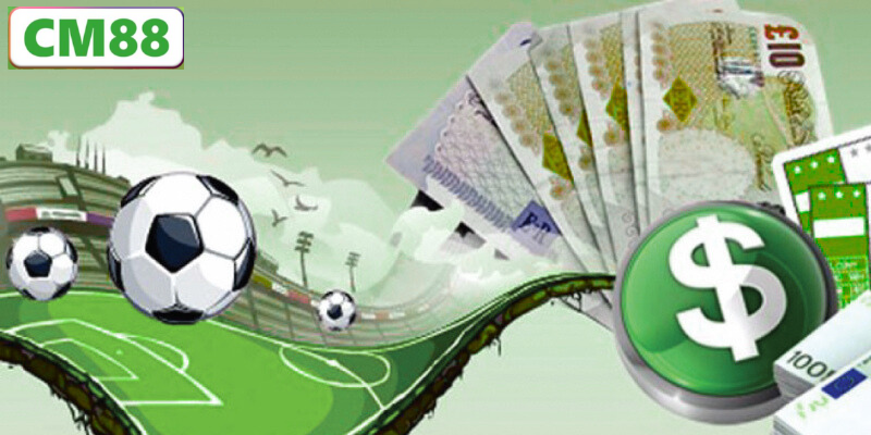 Mẹo soi kèo bóng bàn chuẩn xác