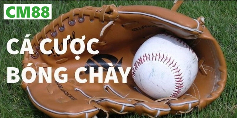 Tổng quan về cá cược bóng chày CM88
