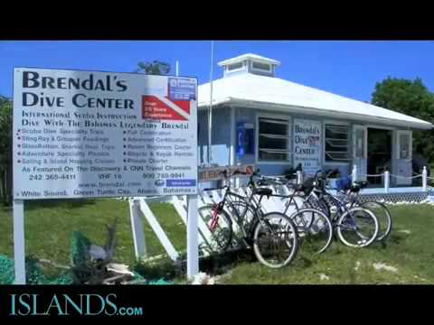 Hotels In Green Turtle Cay Bahamas