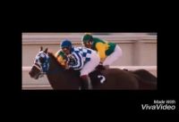 Secretariat Vs Seabiscuit