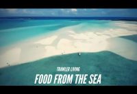 Trawler Life food LOBSTERS || Man-O-War Sand Bar || Great Exuma || Family on a boat life || S2E29