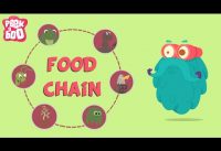 What Is A Food Chain? | The Dr. Binocs Show | Educational Videos For Kids